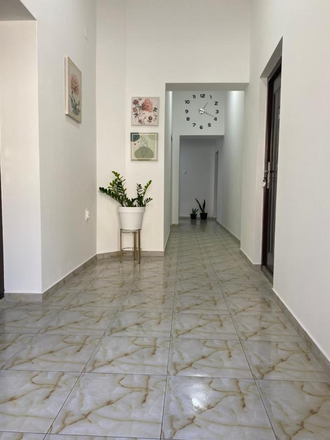 Lotus House Apartment Зренянин Екстериор снимка